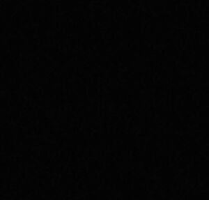 Meet your Posher, Celeste